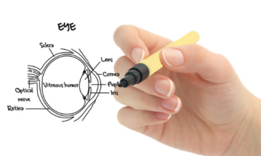 Human_eye_anatomy